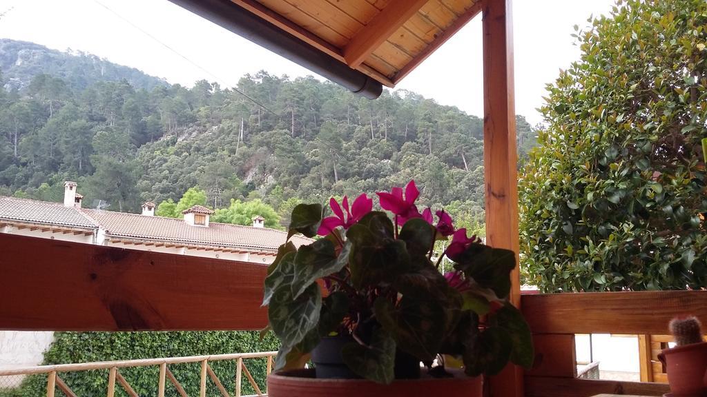 Cabanas De Madera El Rinconcillo Arroyo Frio Ngoại thất bức ảnh