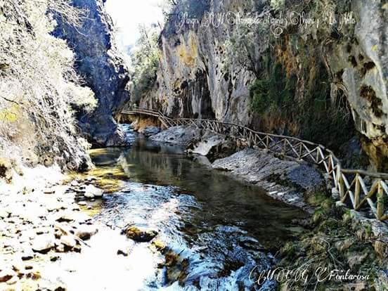 Cabanas De Madera El Rinconcillo Arroyo Frio Ngoại thất bức ảnh